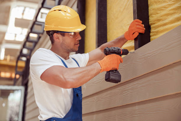 Affordable Siding Repair and Maintenance Services in Northdale, FL