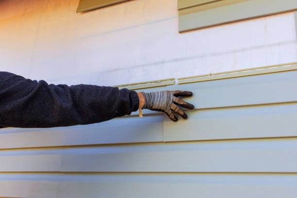 Best Steel Siding Installation  in Northdale, FL